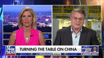 US ‘absolutely’ has enough resources to be rare-earth independent and dominant, claims CEO