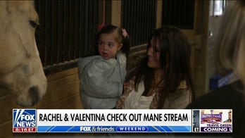 Mane Stream uses horses to provide therapy, lessons to those with special needs