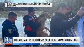 Oklahoma firefighters rescue dog stuck in frozen lake - Fox News