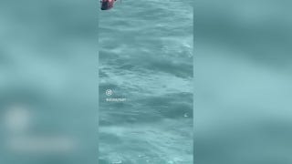 US Coast Guard rescues man clinging to cooler miles off Florida coast - Fox News