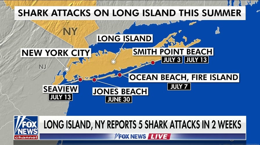 NY beaches see rise in shark attacks