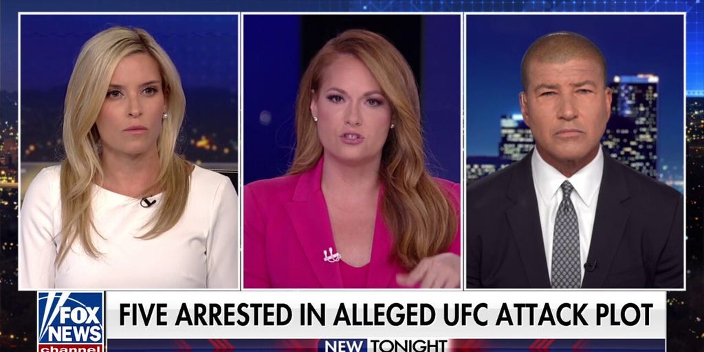 More details emerge in alleged UFC attack plot