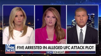 More details emerge in alleged UFC attack plot 