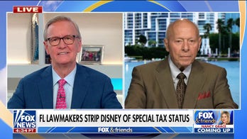 Disney execs should be fired for getting into political fight with DeSantis, says former McDonald's CEO