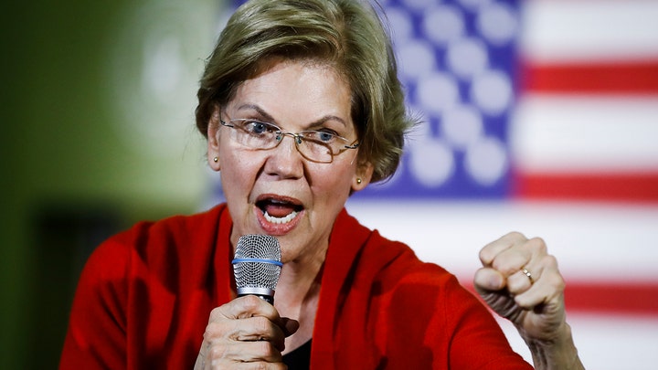 Elizabeth Warren plans to crack down on 'disinformation' with criminal charges
