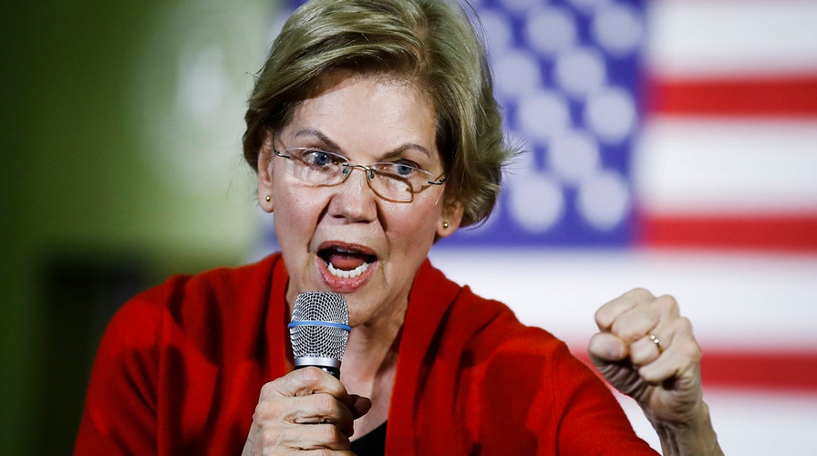 Elizabeth Warren plans to crack down on 'disinformation' with criminal charges