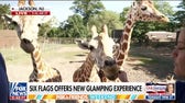 Feed the giraffes at New Jersey’s Six Flags