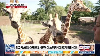 Feed the giraffes at New Jersey’s Six Flags - Fox News