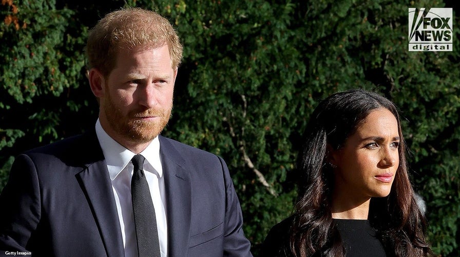 Meghan Markle and Prince Harry acted like a couple of teenagers, palace sources allege in explosive new book