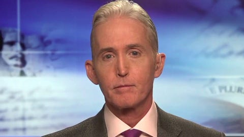 Trey Gowdy rips lawmakers for funding personal security while pushing to defund police