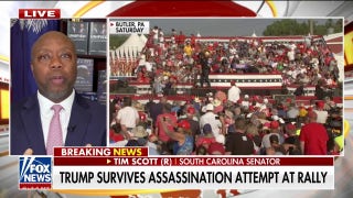 Tim Scott blasts left-wing media, Dem Party's 'disgusting' behavior towards Trump - Fox News