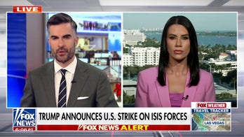 US strikes ISIS in Nigeria, specific target still unknown