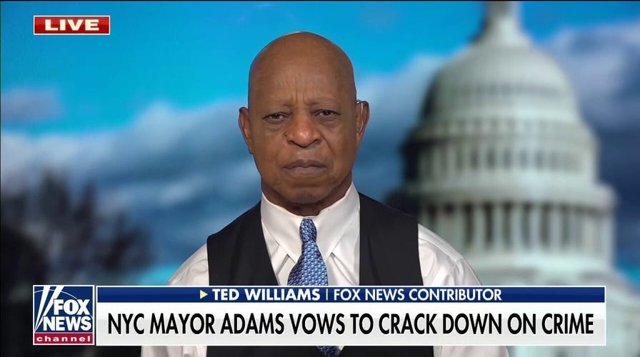 America needs to elect politicians who are 'proactive' on crime: Williams