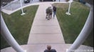 Portsmouth Police Department shares video of ICE arrest