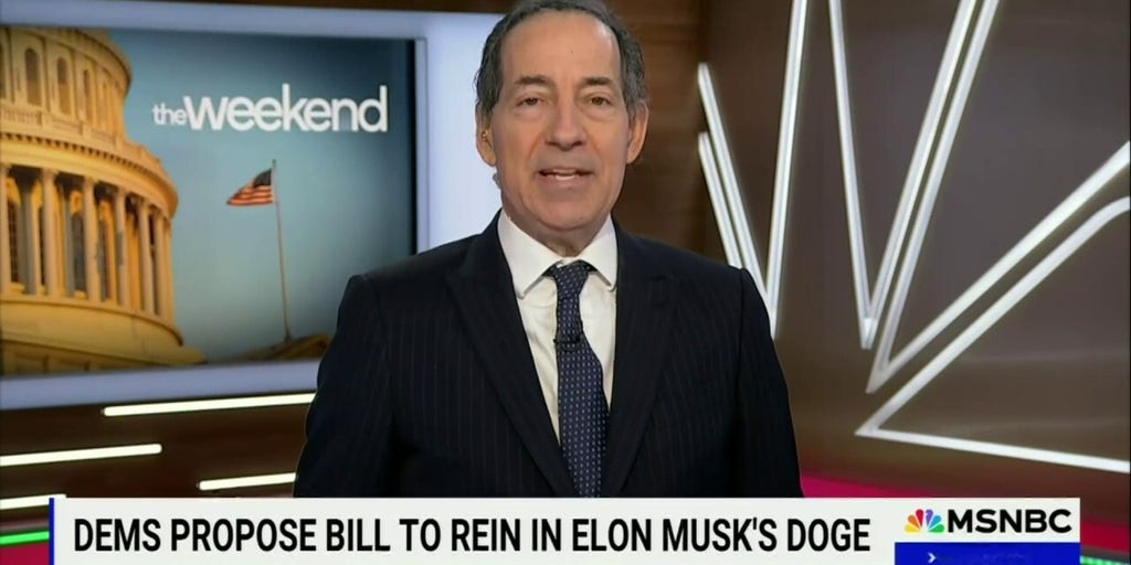 Congressman Jamie Raskin claims Musk is usurping presidential powers