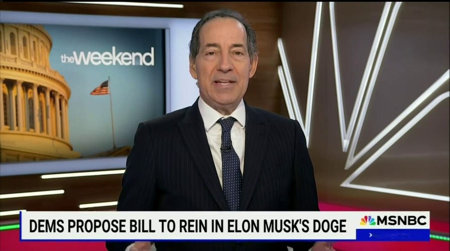 Congressman Jamie Raskin claims Musk is usurping presidential powers