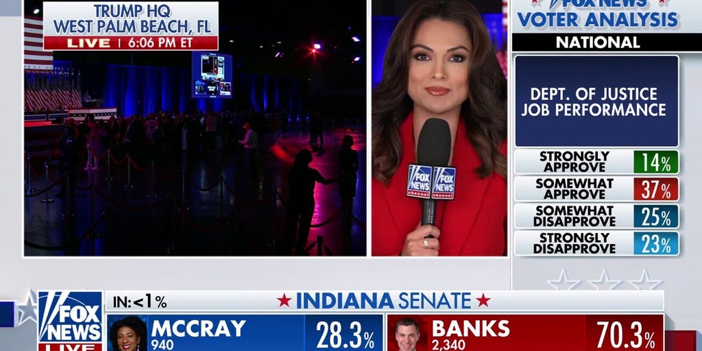 Arizona, Nevada, NC reported to have ‘exceptionally high' early voter turnouts | Fox News Video