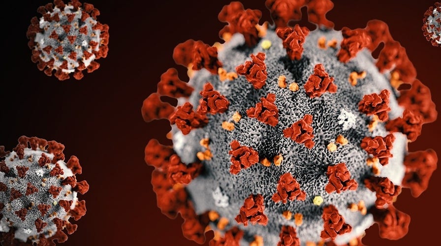 CDC investigating California coronavirus case as first possible instance of ‘community spread’ in US
