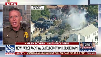 Chicago Mayor Brandon Johnson is so 'out of touch' with his city, says Border Patrol chief