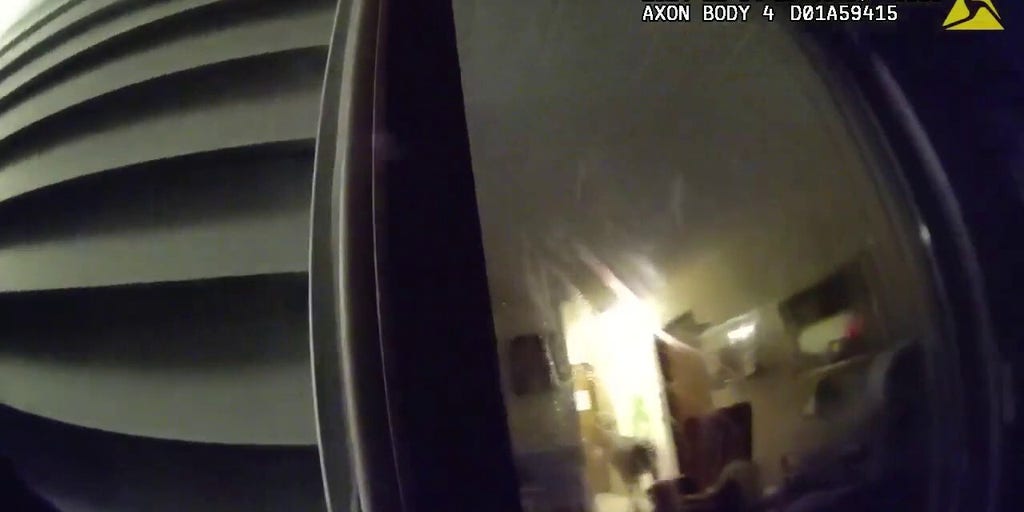Deer thrashes around centenarian's apartment before escaping through smashed sliding glass door