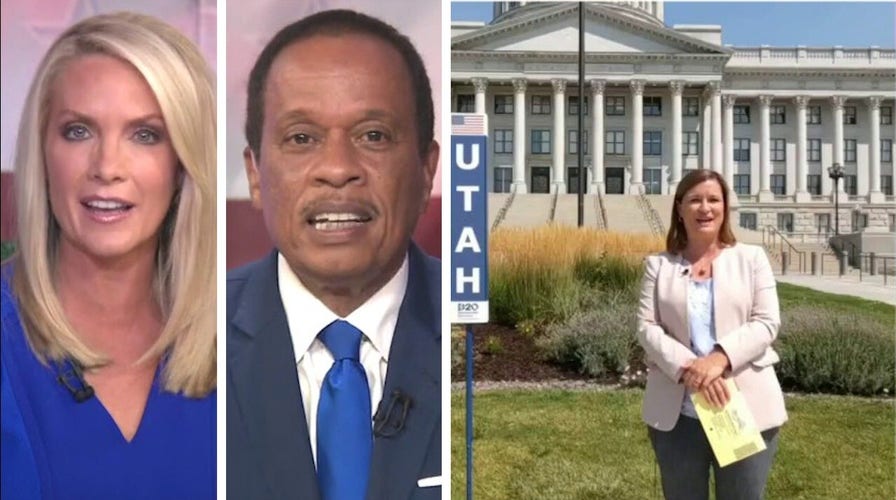 Dana Perino, Juan Williams praise visuals of Democratic National Convention's second night