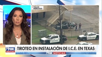 La agenda liberal anti-I.C.E