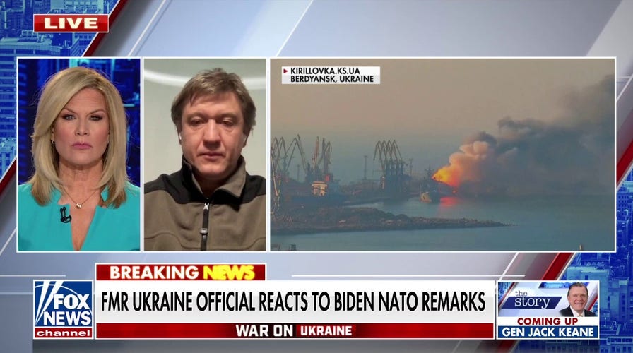 Ukraine and NATO's expectations were 'a bit higher': Former Zelenskyy campaign adviser