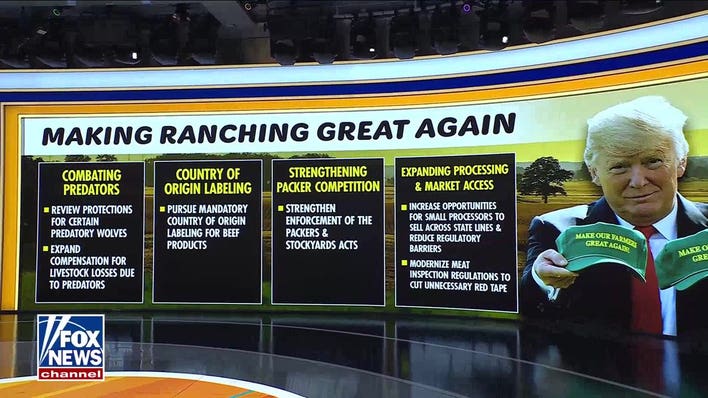 New beef measures seek to support ranchers