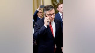 Dem pressed on shutdown: 'You saw the light in the train coming' - Fox News