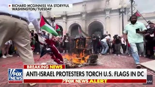 Pro-Hamas protesters burn American flag, wave Palestinian flag at nation's capital - Fox News