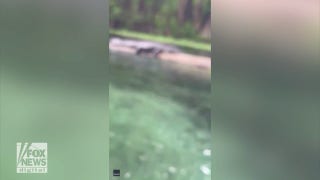Women float down river and drift past alligator: See the shocking video! - Fox News