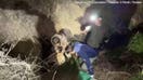 Wolf safely returned to zoo 9 days after escaping