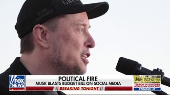  Congressional Republicans and Elon Musk face hang-up over 'big, beautiful bill'