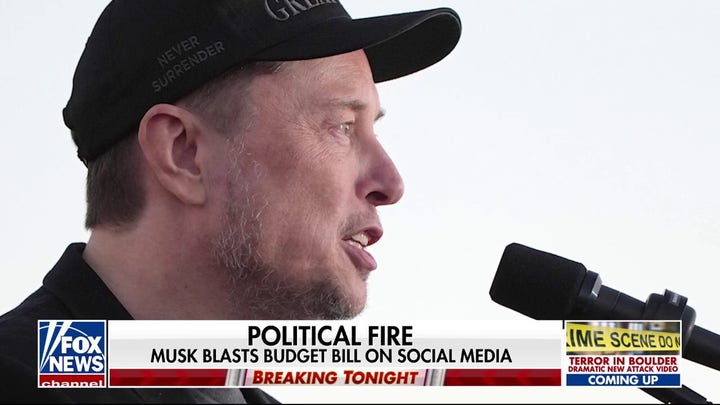  Congressional Republicans and Elon Musk face hang-up over 'big, beautiful bill'