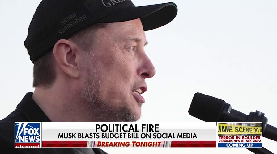 Congressional Republicans and Elon Musk face hang-up over 'big, beautiful bill'