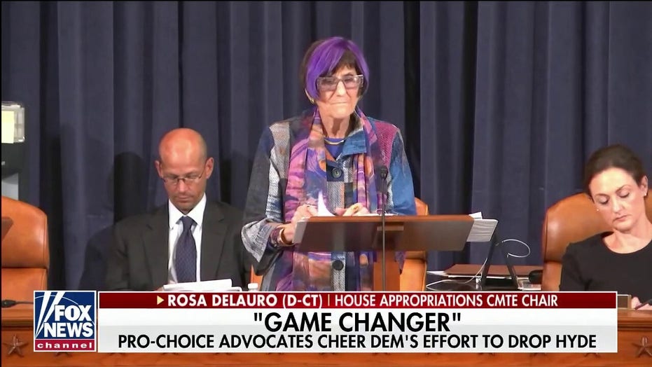 Pro-choice Democrats target ban on federal abortion funding