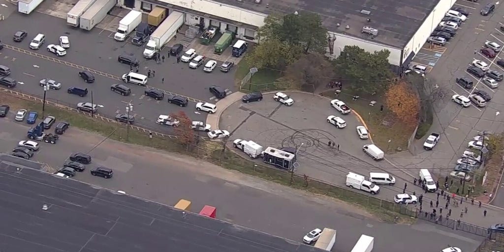 Authorities detain 46 suspected illegal aliens in New Jersey workplace immigration sweep