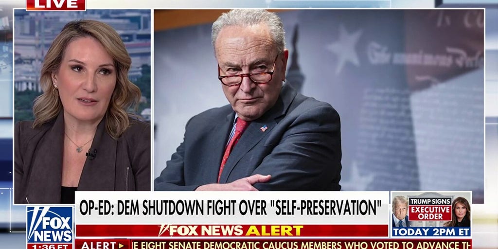 Democrat shutdown fight over 'self-preservation,' WSJ op-ed says