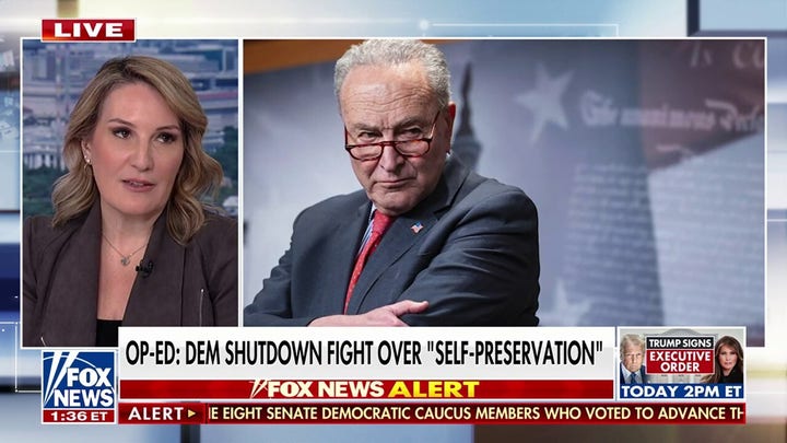 Democrat shutdown fight over 'self-preservation,' WSJ op-ed says