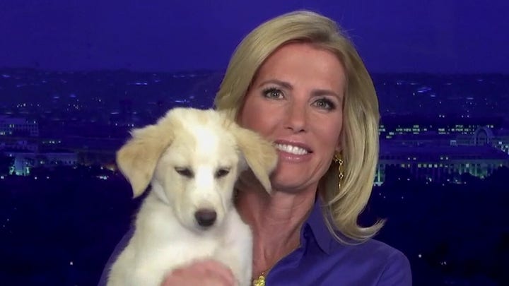 'The Ingraham Angle' welcomes a new family member