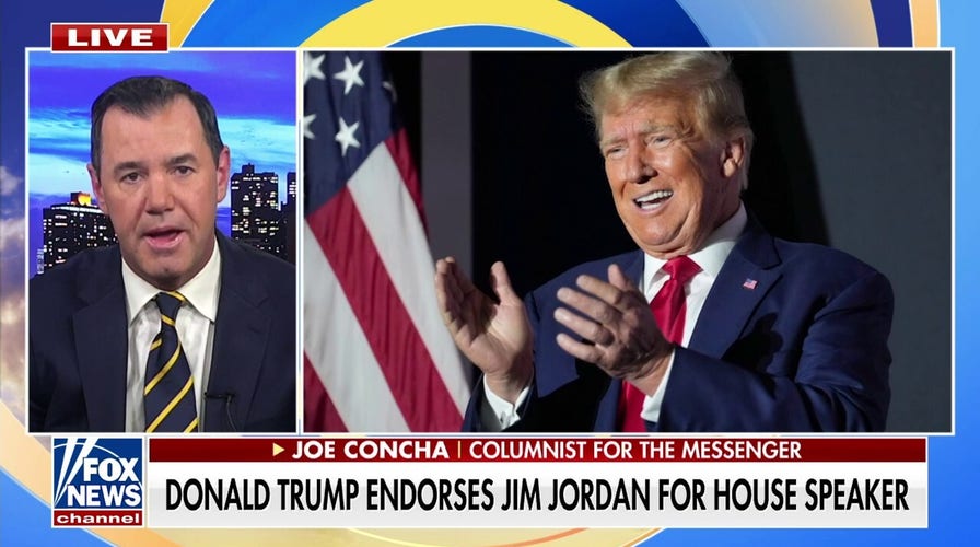 Donald Trump endorses Jim Jordan as House speaker