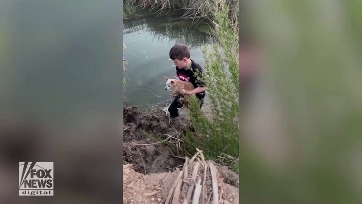 Texas family rescues lost dog from pond