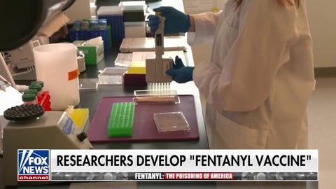 Researchers develop ‘fentanyl vaccine’ to fight drug crisis