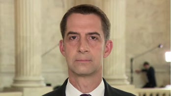 Sen. Tom Cotton: Biden's national emergency at border – US needs real leadership to tackle crisis