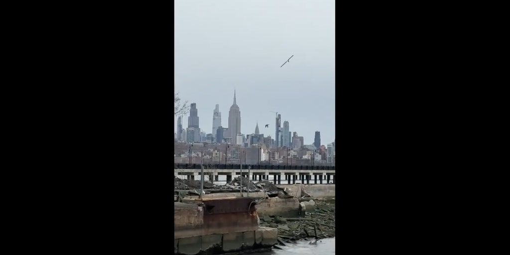 Rotor blade from Hudson River helicopter crash seen falling from sky