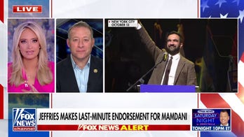 Democratic lawmaker blasts Mamdani as ‘job-killing socialist’ after Jeffries endorsement