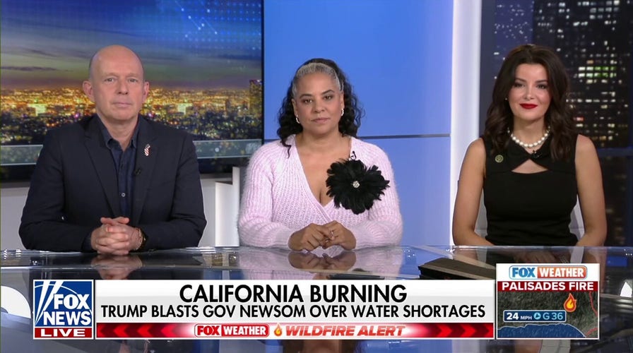 LA Mayor Bass ‘failed’ the city, Kira Davis says: Whatever she says is ‘meaningless’