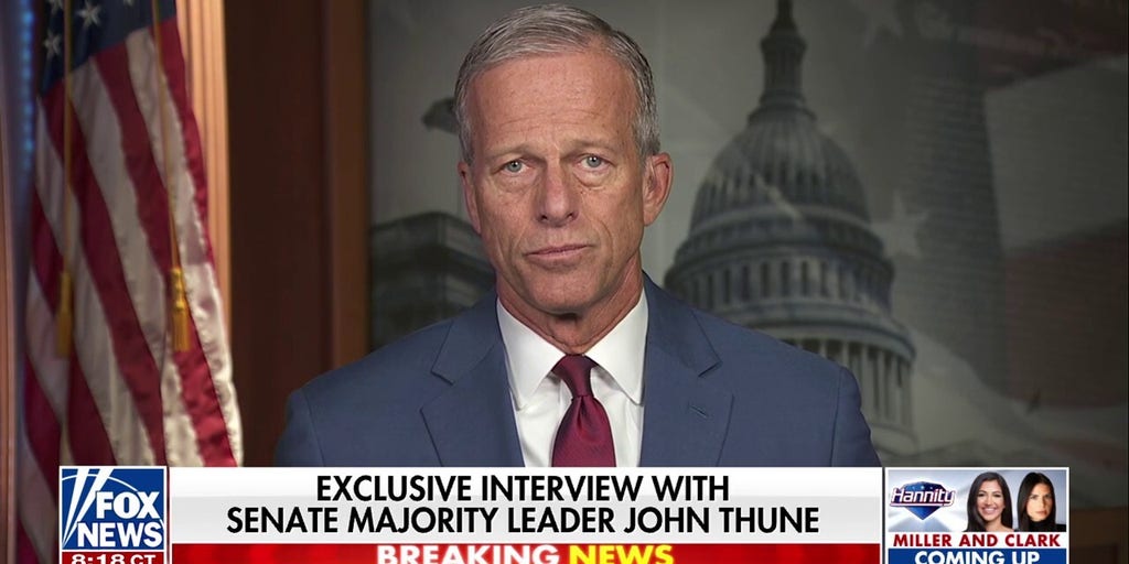 Senate Majority Leader John Thune: Democrats have lost 'all rationale' in their hatred of Trump