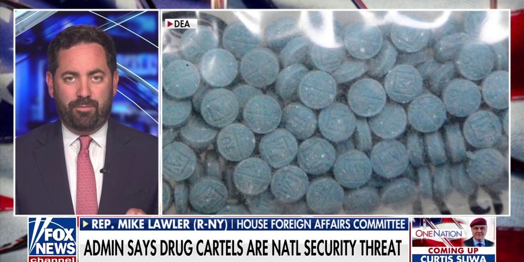 China should not be in control of the prescription drug industry, says Rep. Mike Lawler