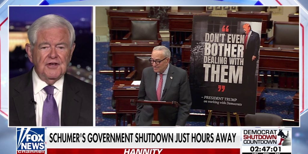 Newt Gingrich: Schumer and Jeffries are 'totally out of touch' with America